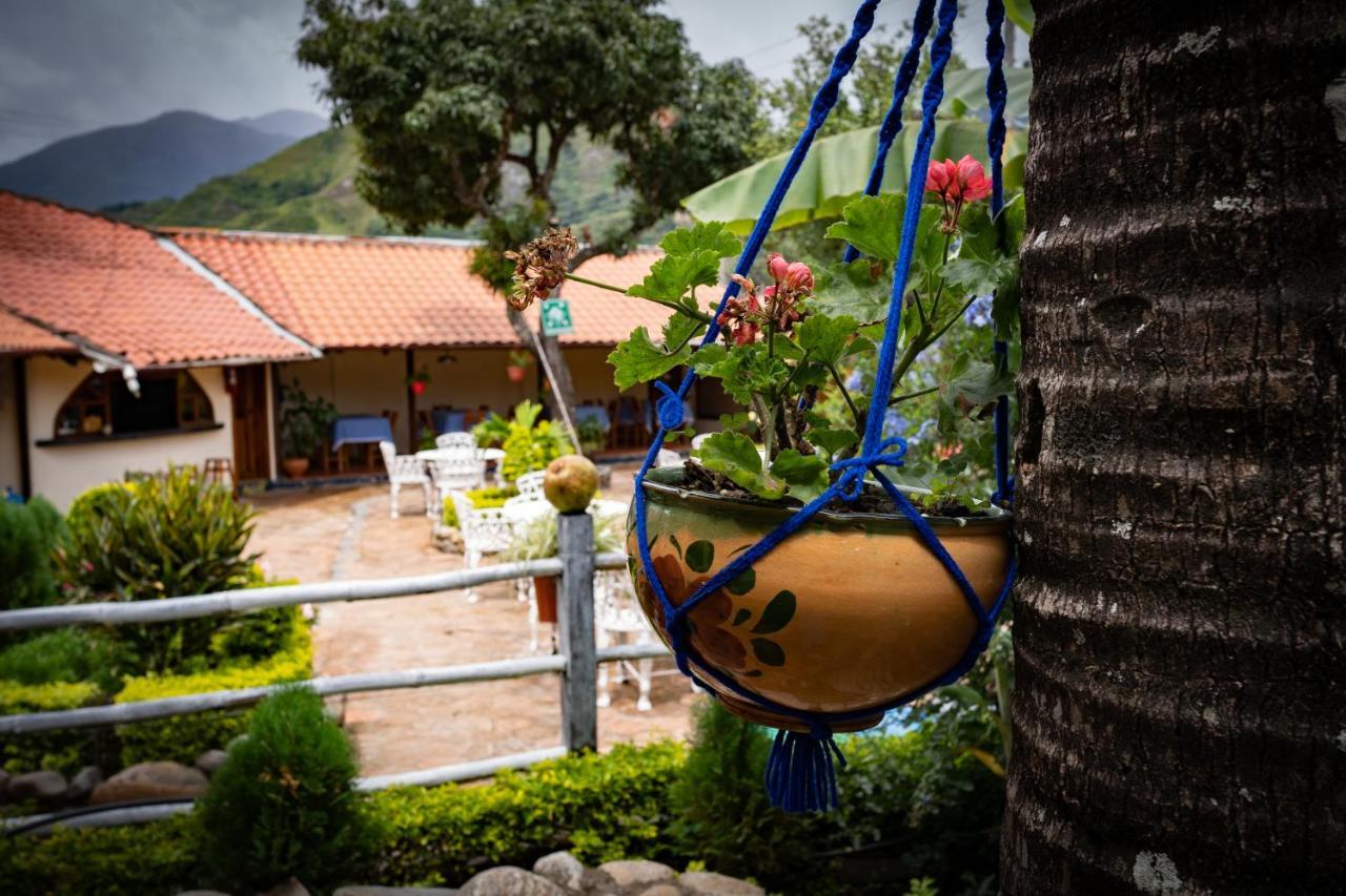 Hostal Jardin Escondido Vilcabamba Exteriör bild